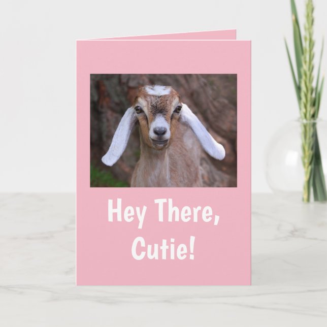 Cute Little Goat Birthday Card (Front)