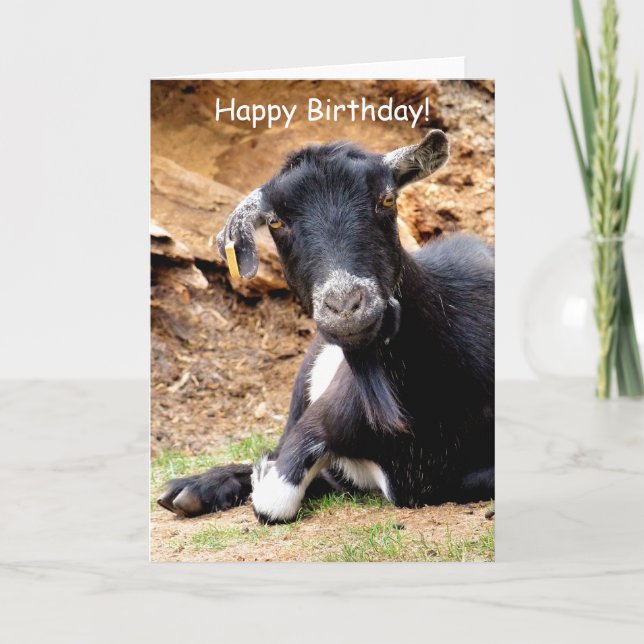 CUTE LITTLE GOAT CARD (Front)