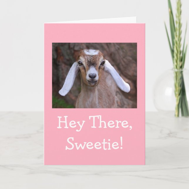 Cute Little Goat Get Well Card (Front)