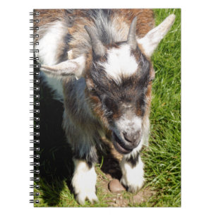 CUTE LITTLE GOAT NOTEBOOK