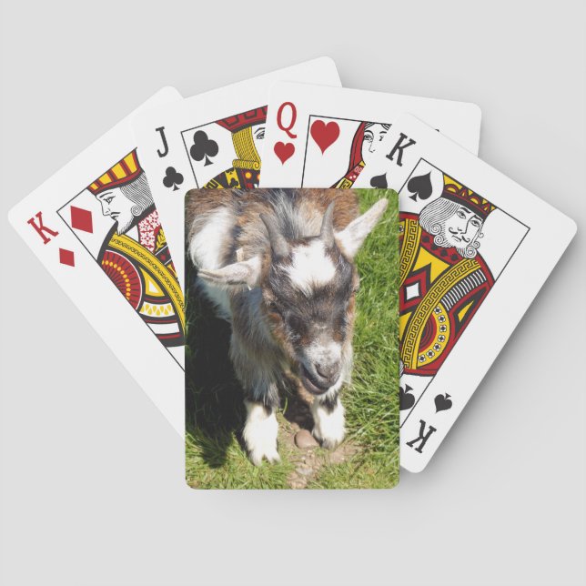 CUTE LITTLE GOAT PLAYING CARDS (Back)