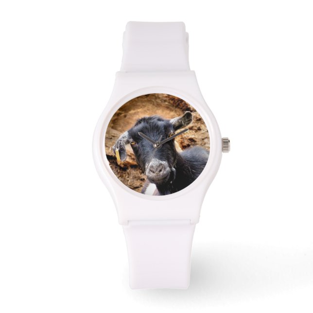 CUTE LITTLE GOAT WATCH (Front)