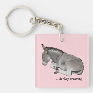 Cute Little Grey Donkey Baby Foal Dreaming Key Ring