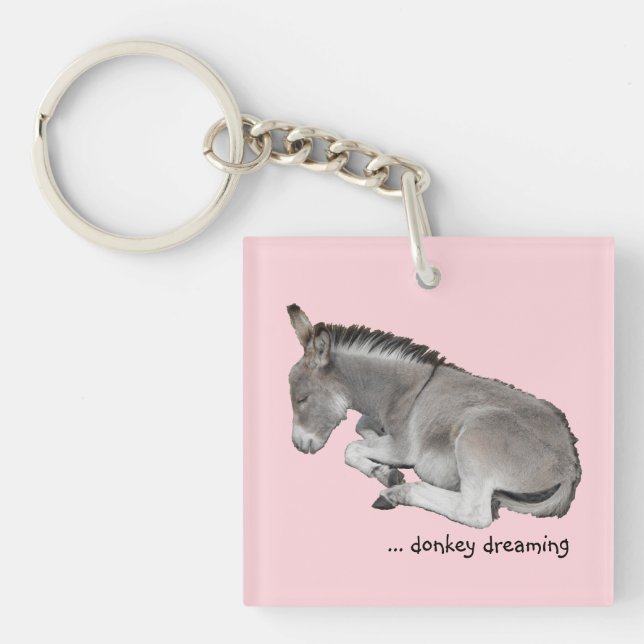 Cute Little Grey Donkey Baby Foal Dreaming Key Ring (Front)