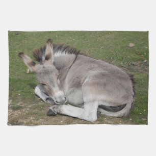Cute Little Grey Donkey Baby Foal Laying Down Tea Towel