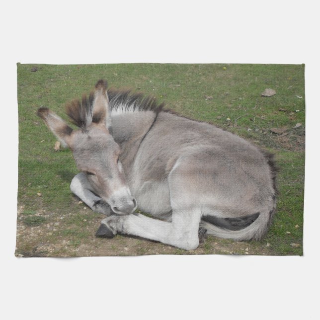 Cute Little Grey Donkey Baby Foal Laying Down Tea Towel (Horizontal)