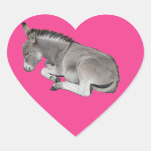 Cute Little Grey Donkey Baby Foal Sleeping Heart Sticker