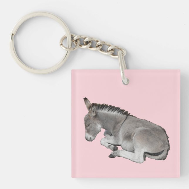 Cute Little Grey Donkey Baby Foal Sleeping Key Ring (Front)