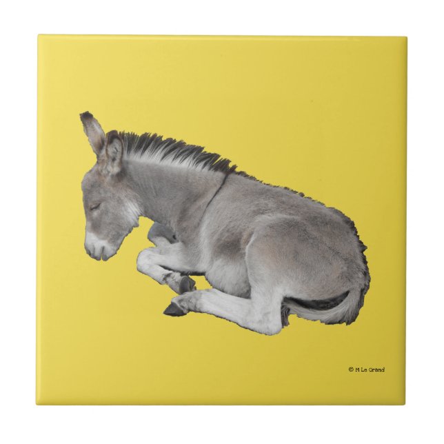 Cute Little Grey Donkey Baby Foal Sleeping Tile (Front)