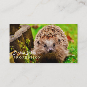 Cute Little Hedgehog in the Forest Business Card