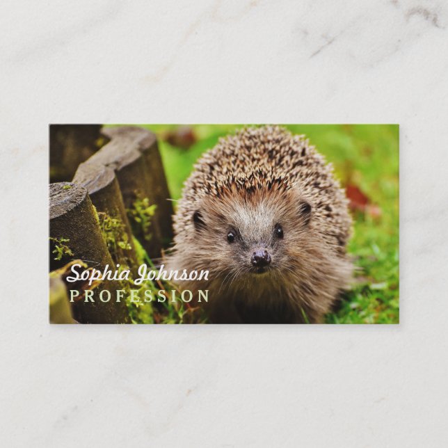 Cute Little Hedgehog in the Forest Business Card (Front)