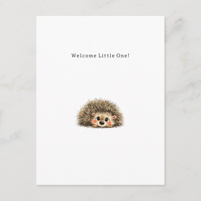Cute Little Hedgehog New Baby Card. Postcard (Front)