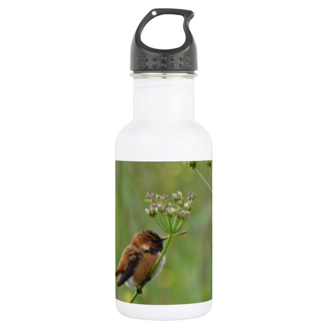 Cute little Hummingbird 532 Ml Water Bottle (Front)