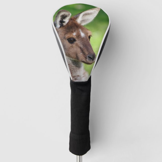 Cute Little Kangaroo Golf Head Cover (Front)