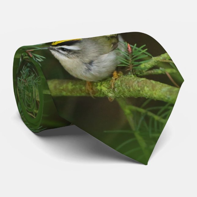 Cute Little Kinglet Causes a Stir in the Fir Tie (Rolled)