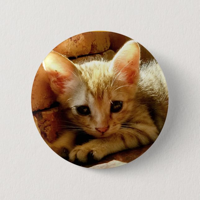 Cute Little Kitten 6 Cm Round Badge (Front)