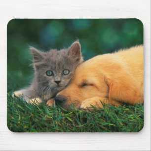 Cute little Kitten and puppy together Mouse Mat