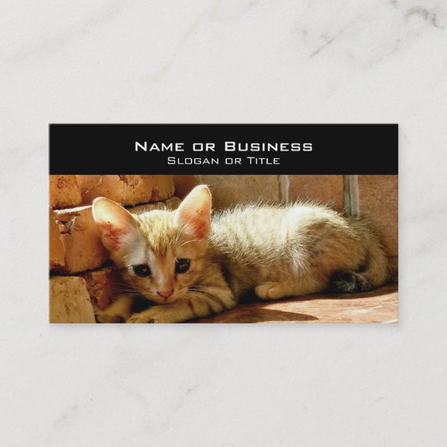 Cute Little Kitten Business Card (Front)