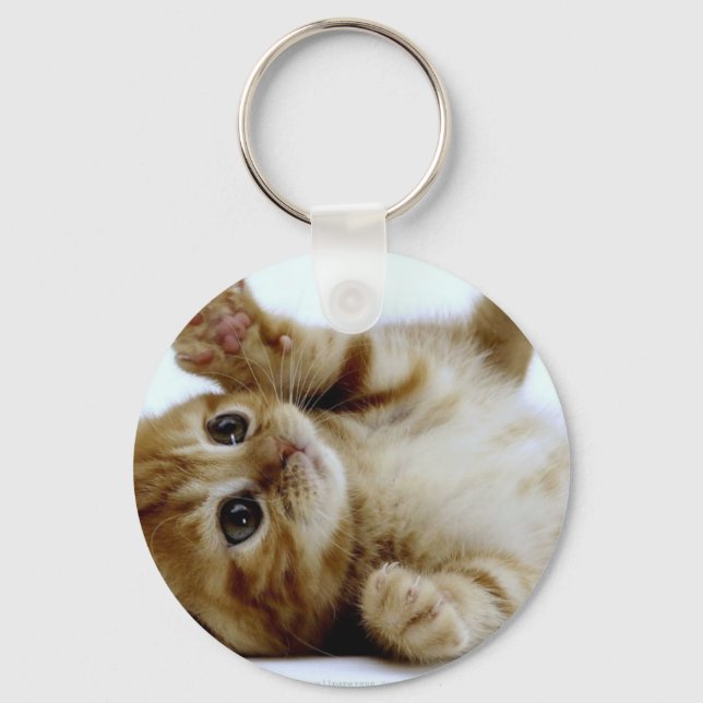 cute little kitten cat pet ginger tabby key ring (Front)
