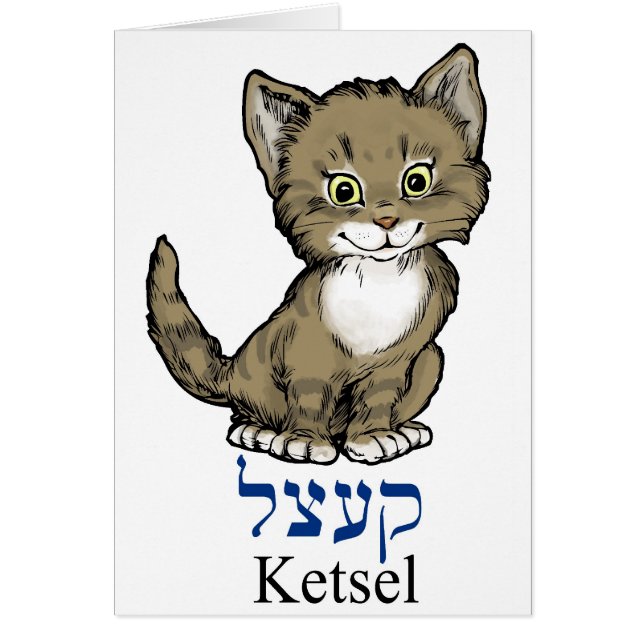 cute little kitten-"ketsel" in Yiddish (Front)