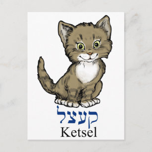 cute little kitten-"ketsel" in Yiddish Postcard