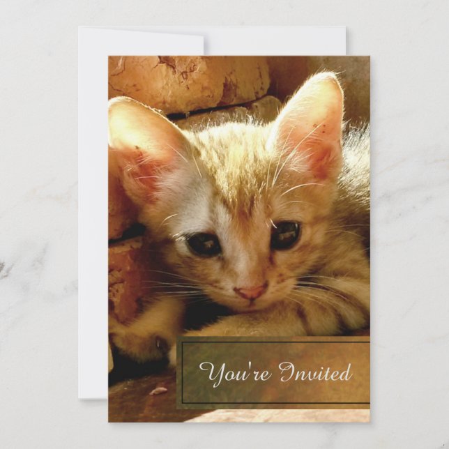 Cute Little Kitten Party Invitation (Front)