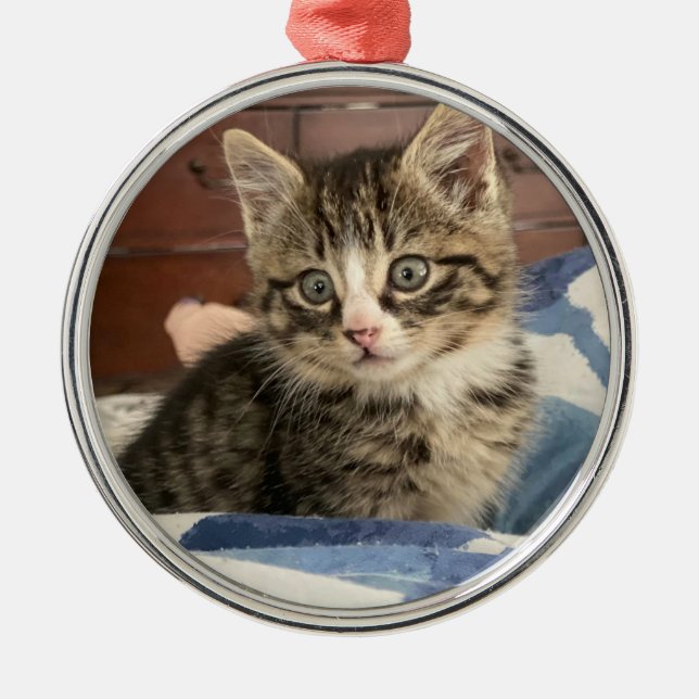 Cute little Kitten Personalised Photo Christmas Metal Tree Decoration (Front)