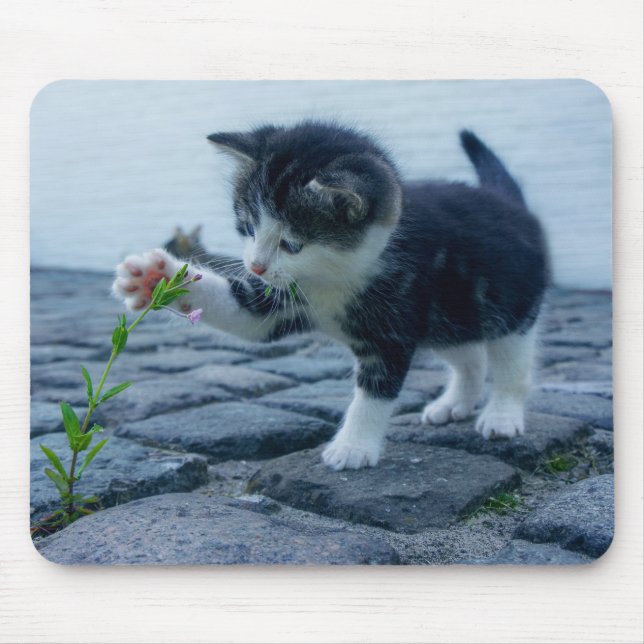 Cute Little Kitten Playing with a Flower Mouse Mat (Front)