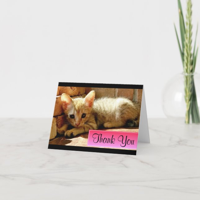 Cute Little Kitten Thank You Card (Front)