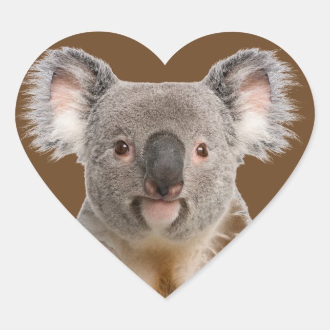 Cute Little Koala Bear Australian Animal   Heart Sticker (Front)
