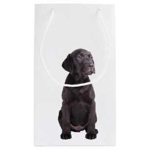 cute little labrador retriever puppy small gift bag