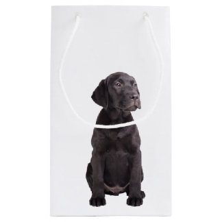 cute little labrador retriever puppy small gift bag