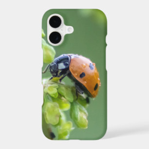 Cute little ladybug for your Smartphone!