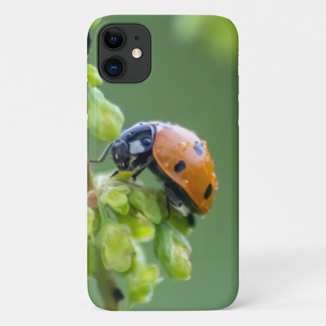 Cute little ladybug for your Smartphone! Case-Mate iPhone Case (Back)