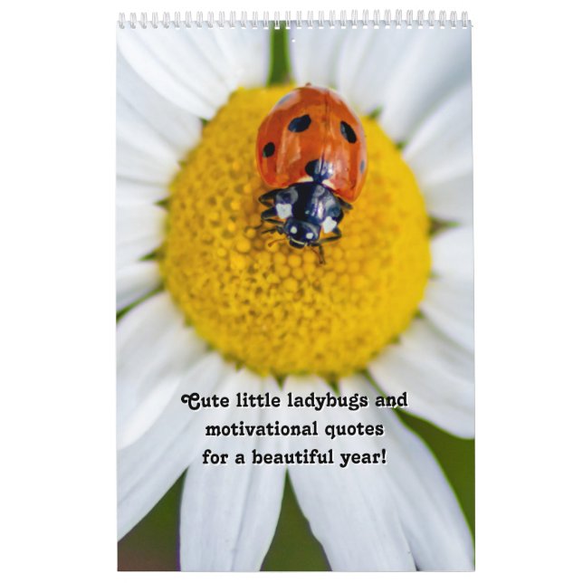 Cute little ladybugs and motivational quotes calendar (Cover)
