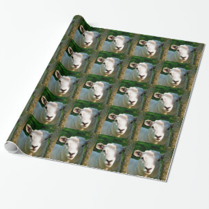 CUTE LITTLE LAMB WRAPPING PAPER