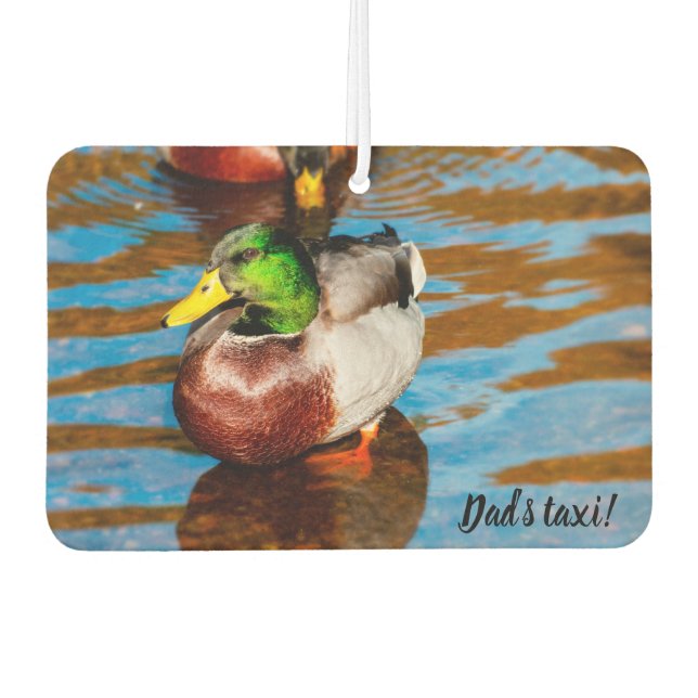 Cute Little Mallard Duck Air Freshener (Front)