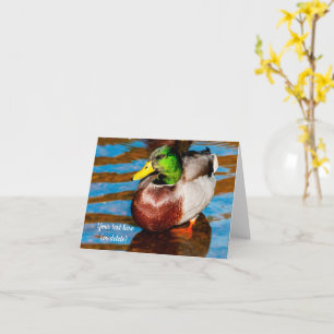 Cute Little Mallard Duck Greeting card