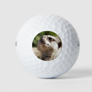 CUTE LITTLE MEERKAT GOLF BALLS