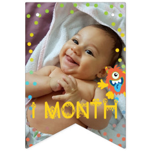 Cute little monster monthly photo birthday  bunting 