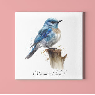Cute Little Mountain Bluebird Watercolor, custom Canvas Print