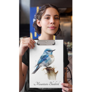 Cute Little Mountain Bluebird Watercolor, custom Clipboard