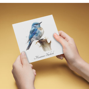Cute Little Mountain Bluebird Watercolor, custom Invitation
