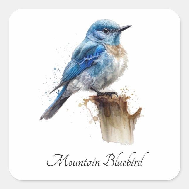 Cute Little Mountain Bluebird Watercolor, custom Square Sticker (Front)