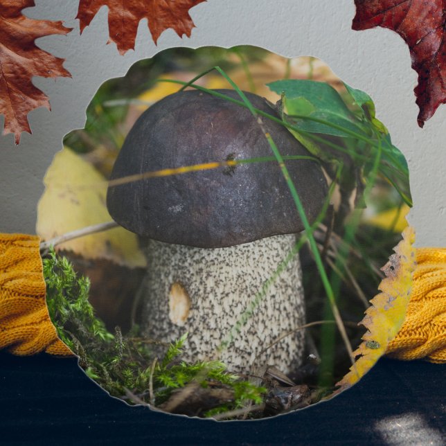 Cute little mushroom round cushion (Creator Uploaded)