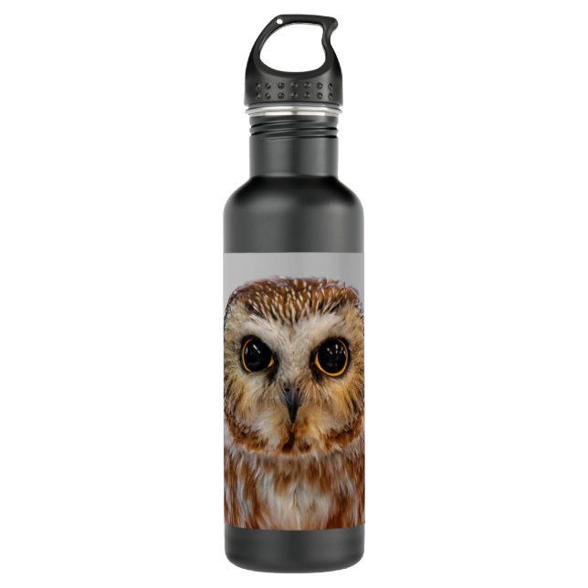 Cute Little Northern Saw Whet Owl 710 Ml Water Bottle (Front)