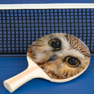 Cute Little Northern Saw Whet Owl Ping Pong Paddle