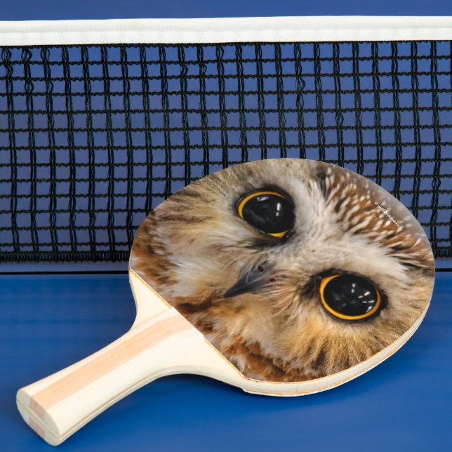Cute Little Northern Saw Whet Owl Ping Pong Paddle (Insitu)