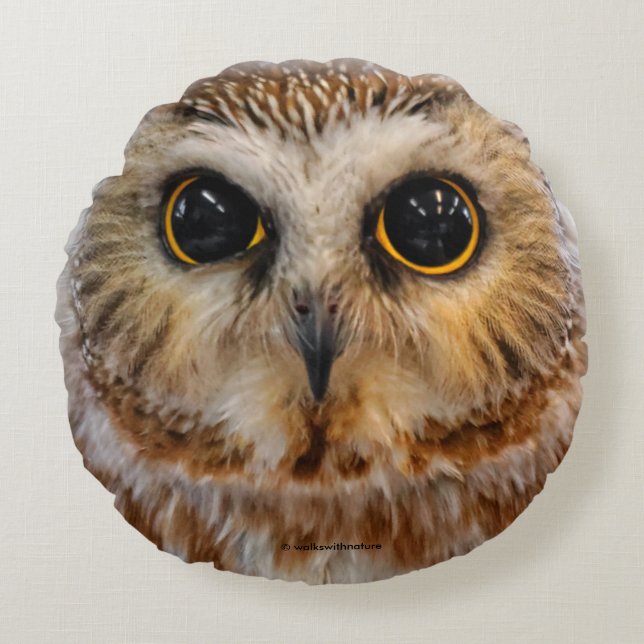 Cute Little Northern Saw Whet Owl Round Cushion (Front)