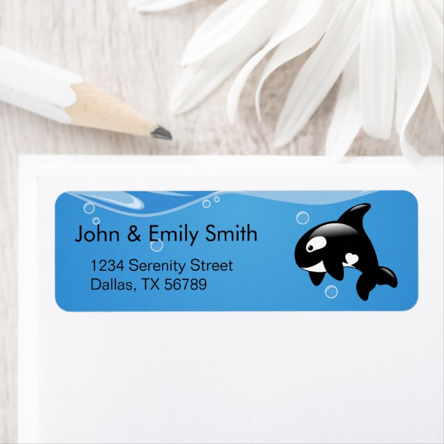 Cute Little Orca Whale on Aqua (Insitu)